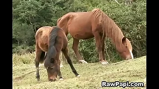 849 studs porn videos